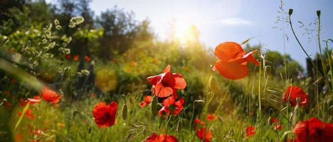 Illustration de l'actualité