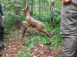 Illustration de la galerie