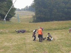 Illustration de la galerie