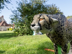 Illustration de la galerie