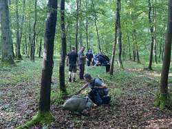 Illustration de la galerie