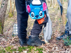 Illustration de la galerie