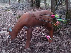 Illustration de la galerie