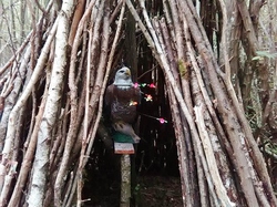 Illustration de la galerie