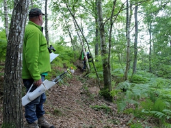 Illustration de la galerie