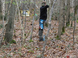 Illustration de la galerie