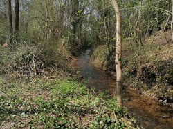 Illustration de la galerie