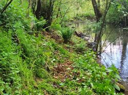 Illustration de la galerie